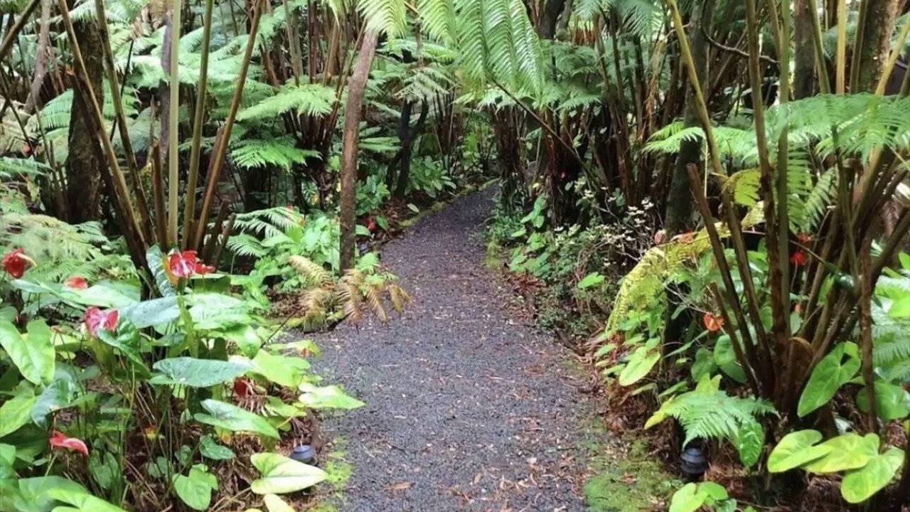 Photo of Outdoor in Volcano