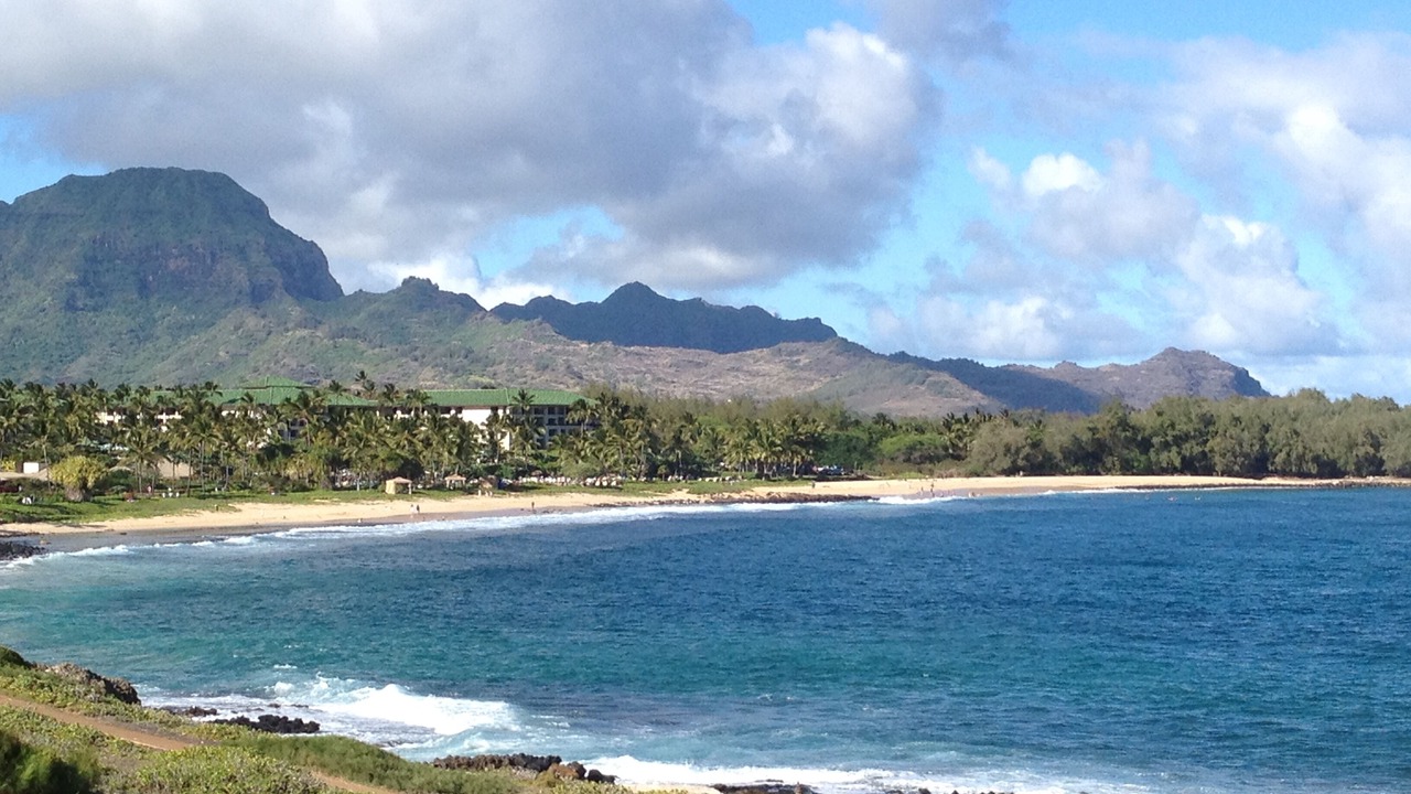 Photo of Others in Poipu