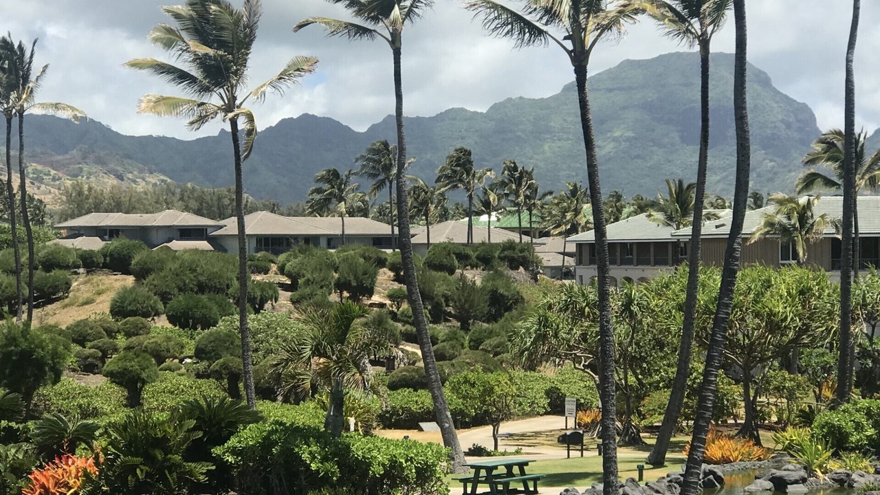 Photo of Outdoor in Poipu