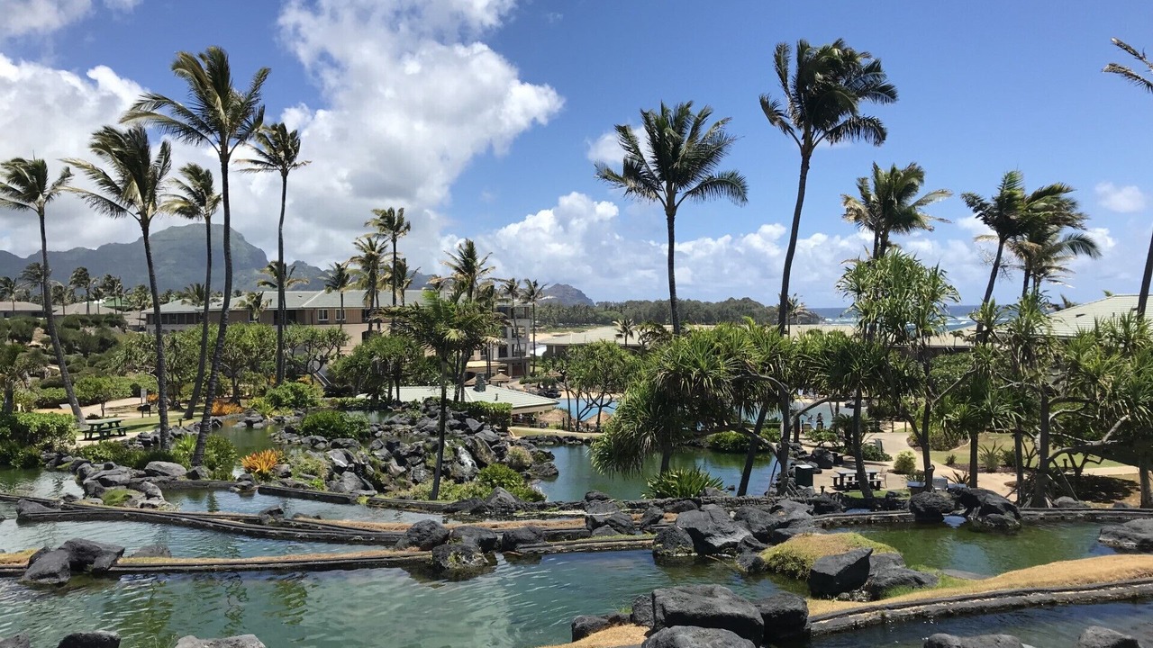 Photo of Outdoor in Poipu