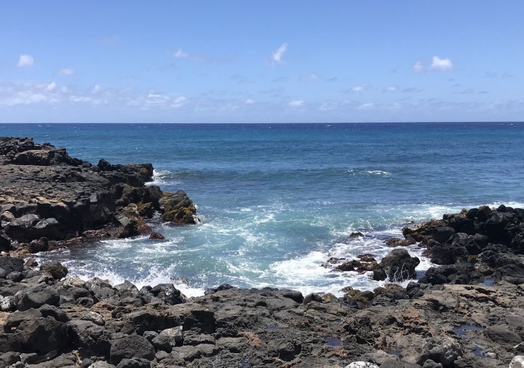 Photo of Others in Poipu