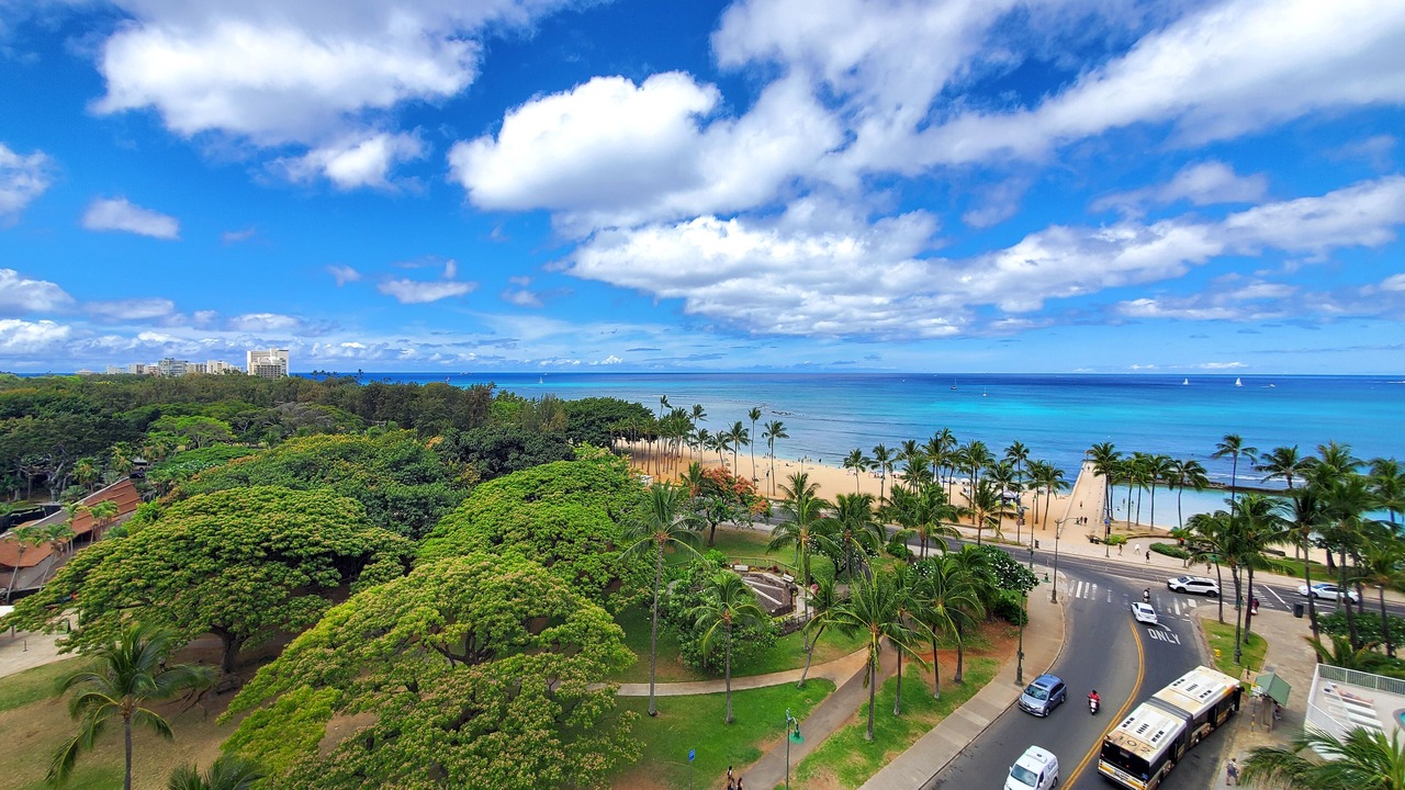 Photo of Others in Waikiki