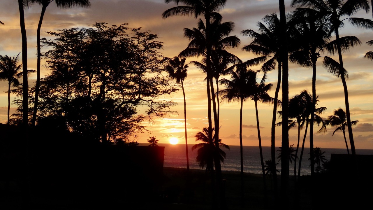 Photo of Outdoor in Maunaloa