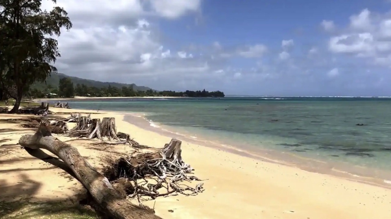 Photo of Others in Hauula