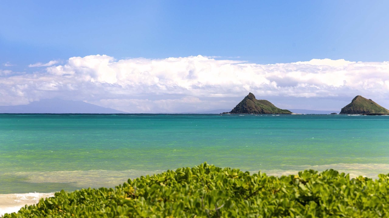 Photo of Others in Kailua
