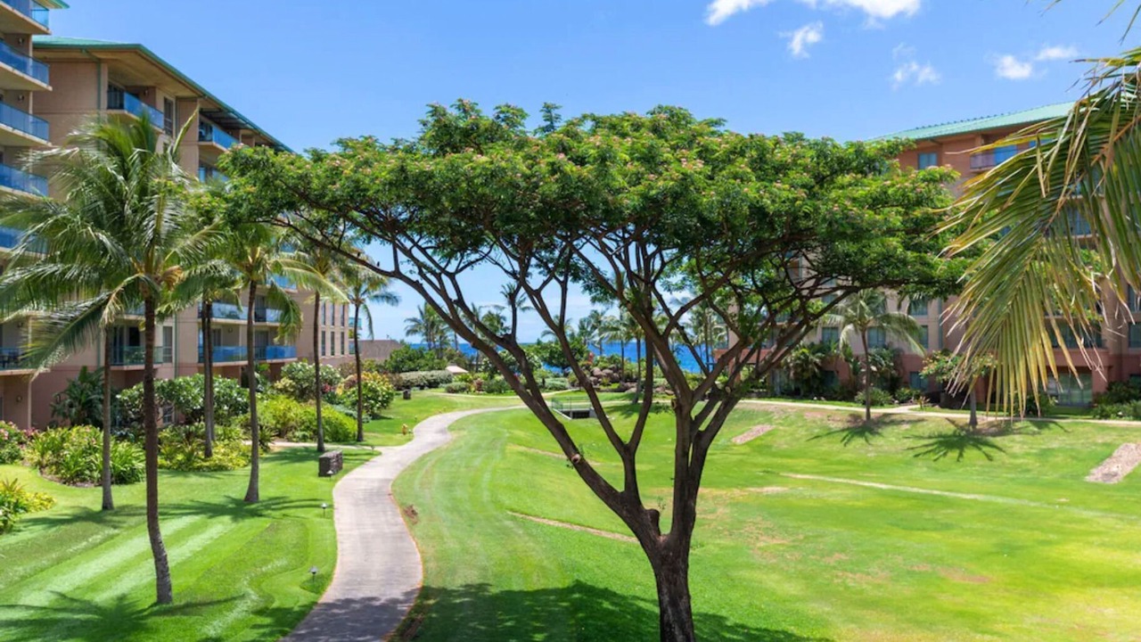 Photo of Outdoor in Honokowai