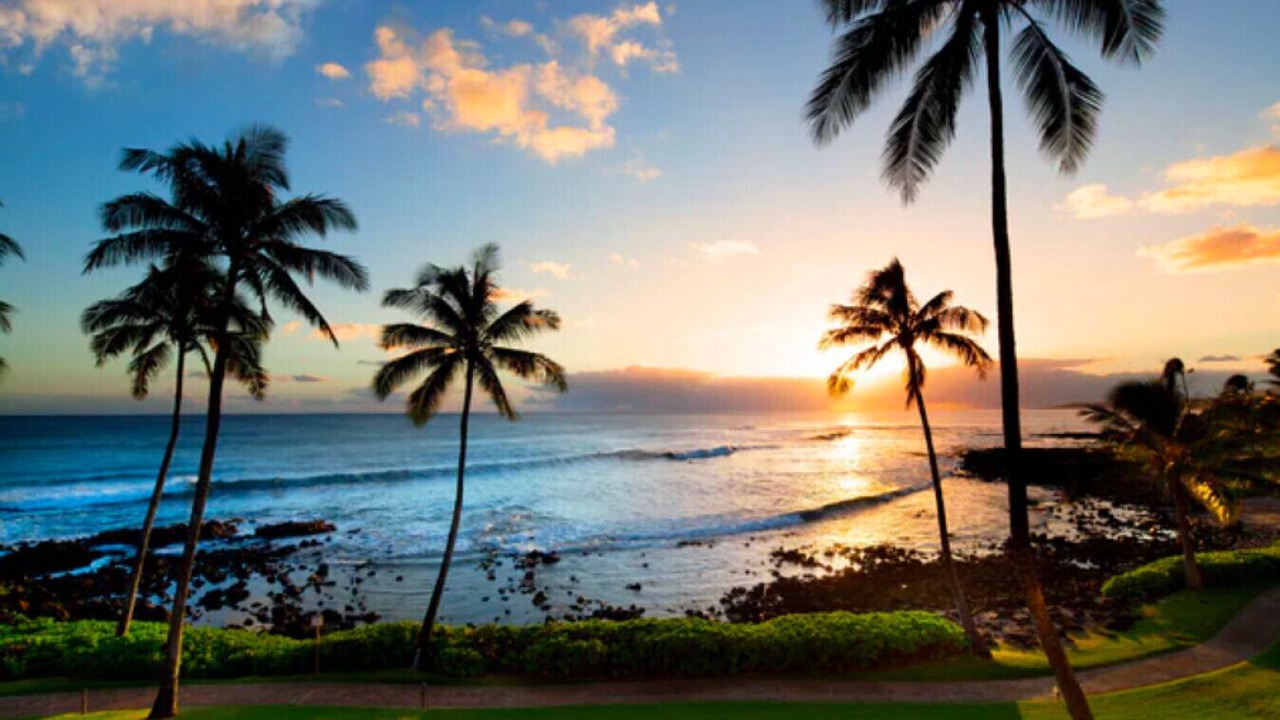 Photo of Others in Poipu