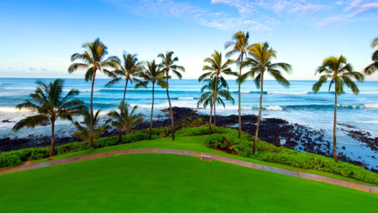 Photo of Others in Poipu