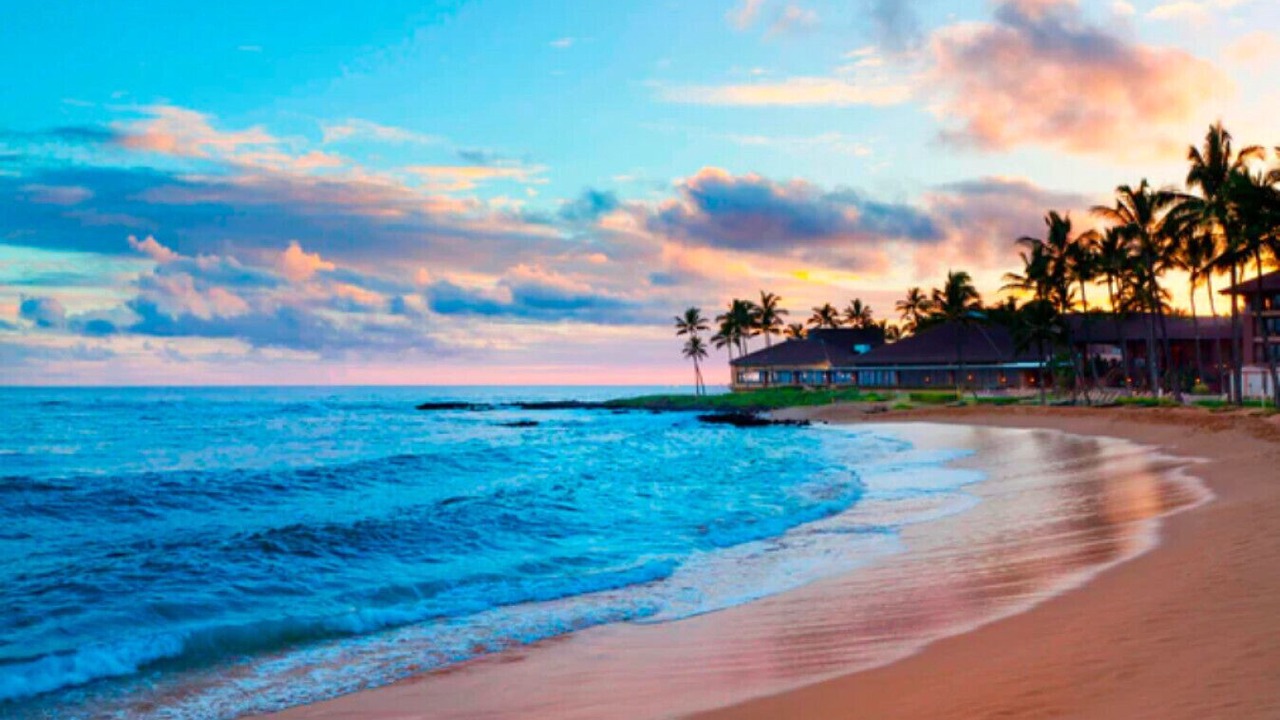 Photo of Others in Poipu
