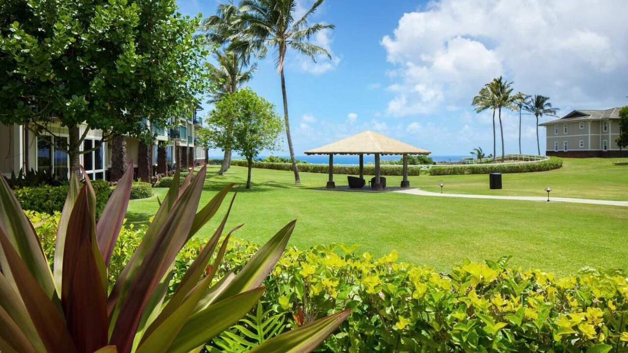 Photo of Outdoor in Kaiulani