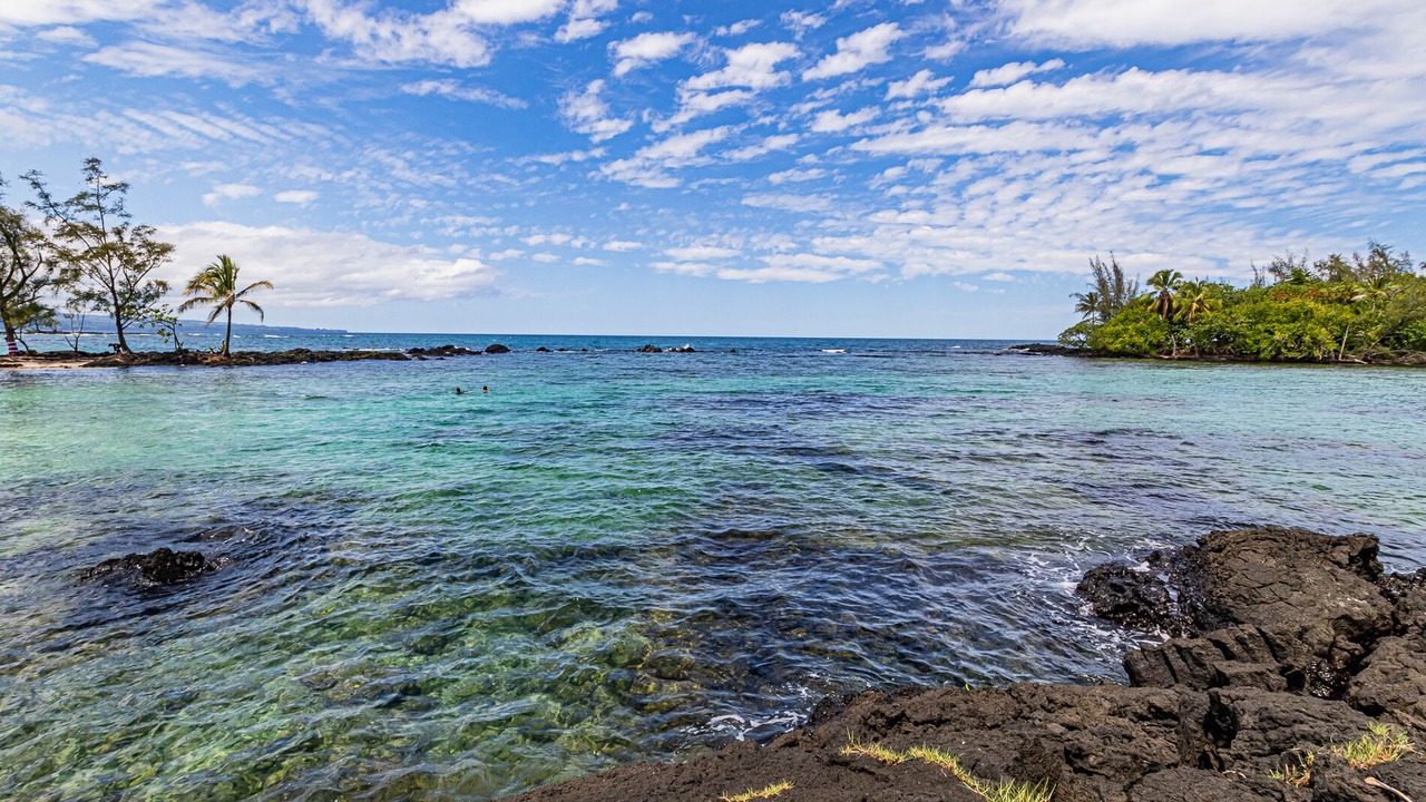 Photo of Others in Hilo