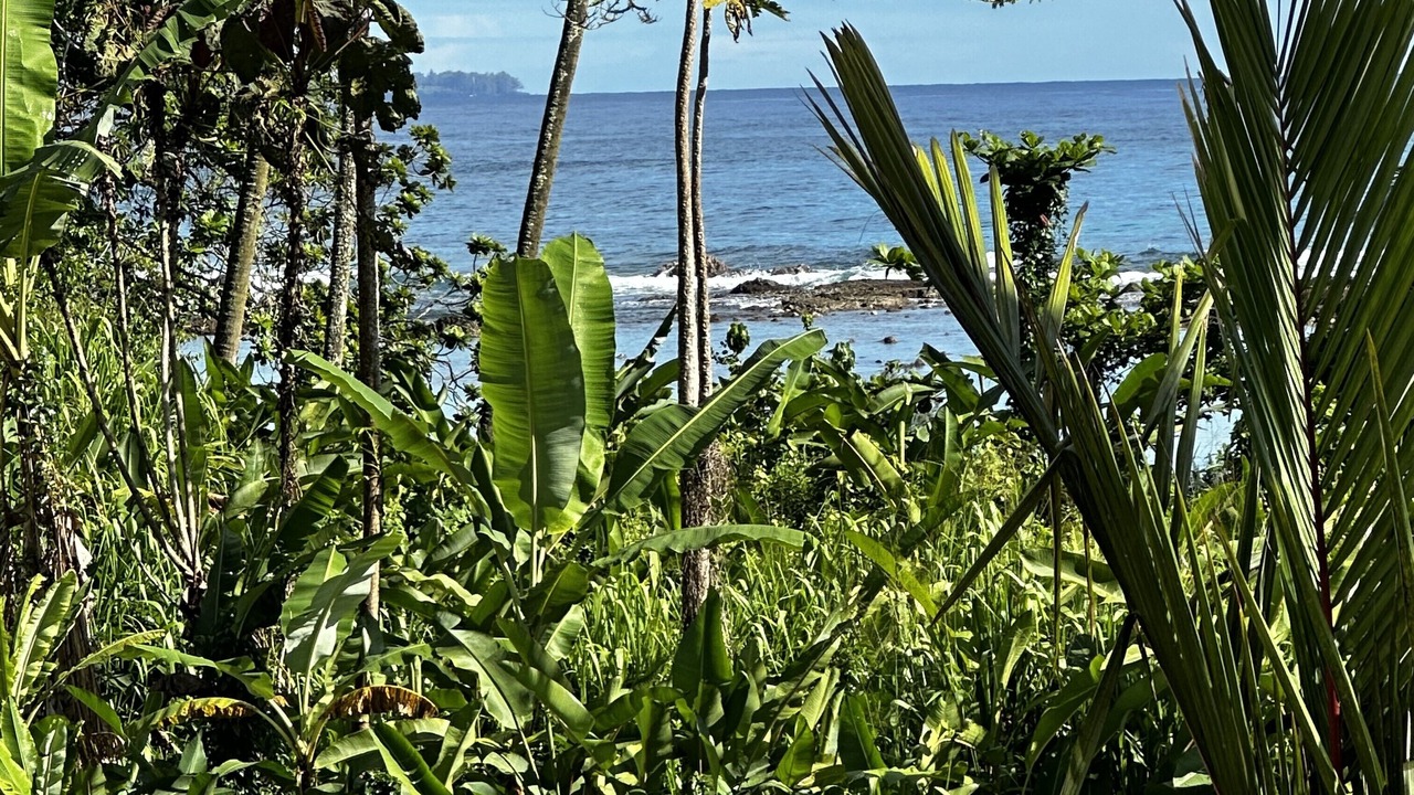 Photo of Others in Hilo