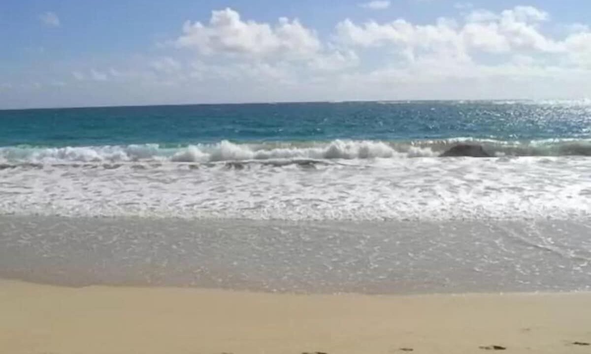 Photo of Others in Laie