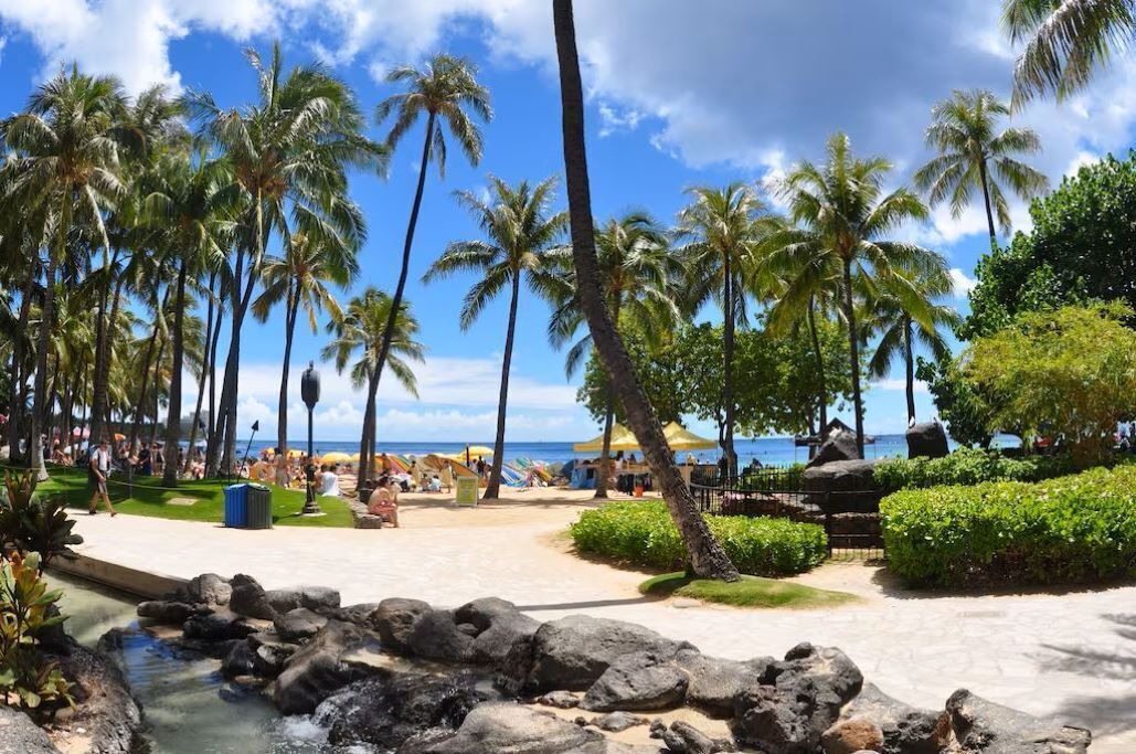 Photo of Outdoor in Waikiki