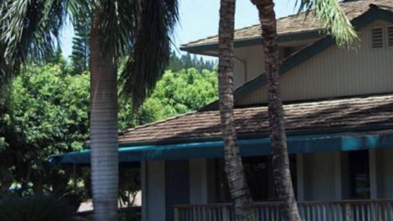 Photo of Outdoor in Napili