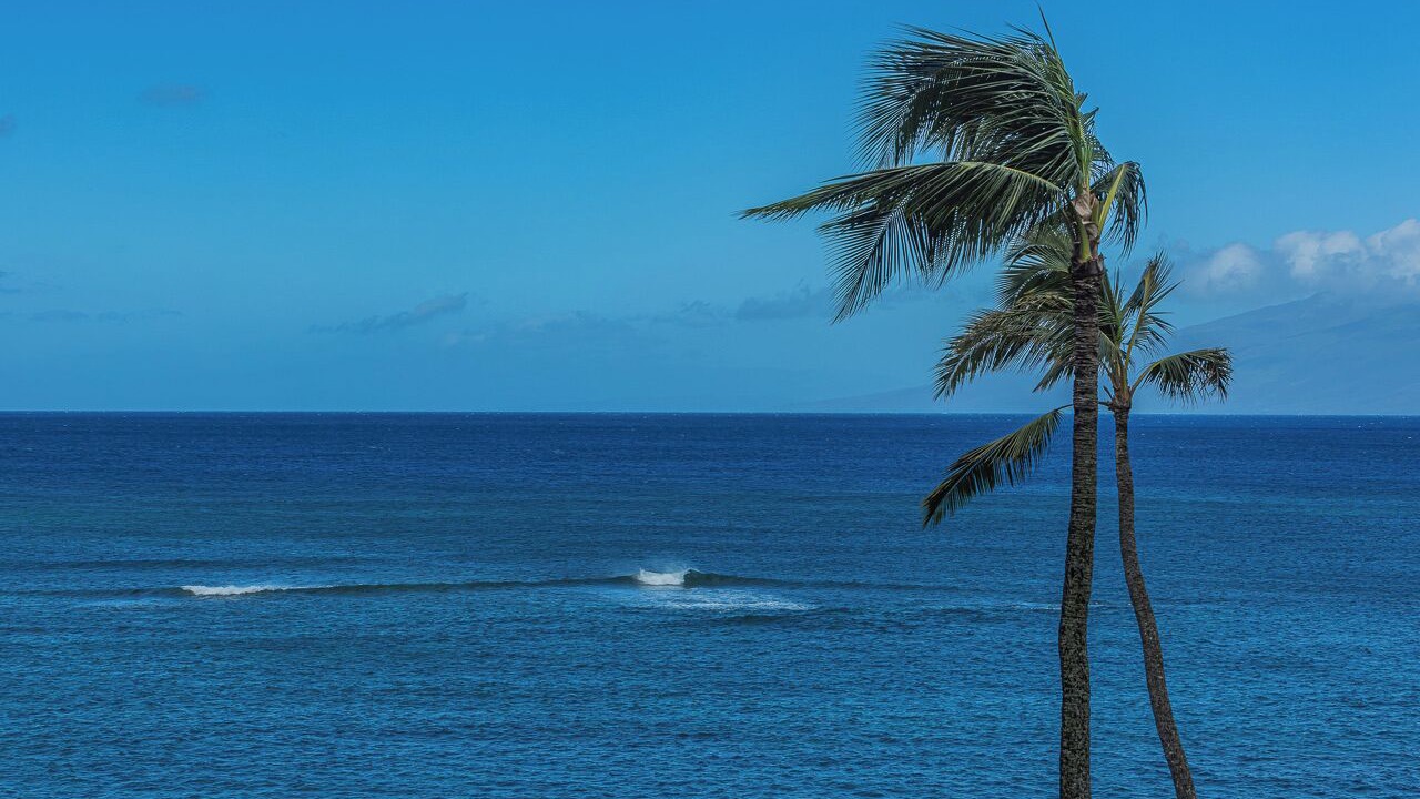 Photo of Others in Kahana