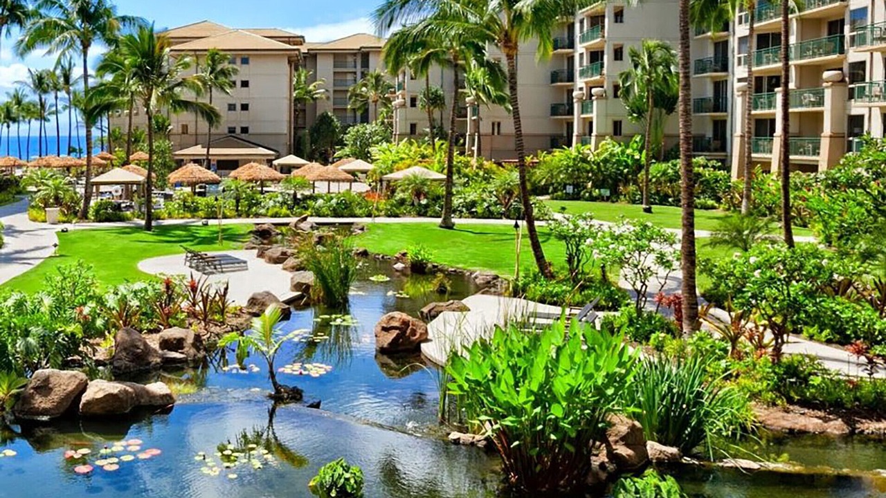 Photo of Outdoor in Kaanapali