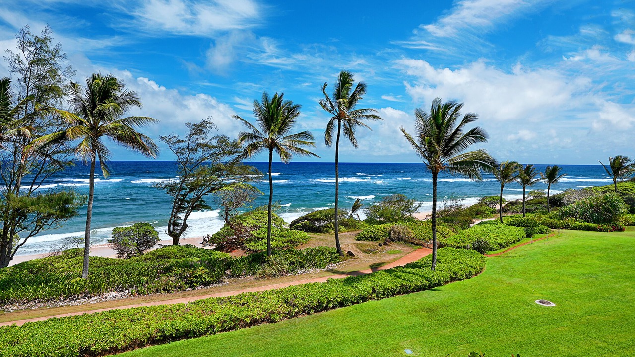 Photo of Others in Lihue
