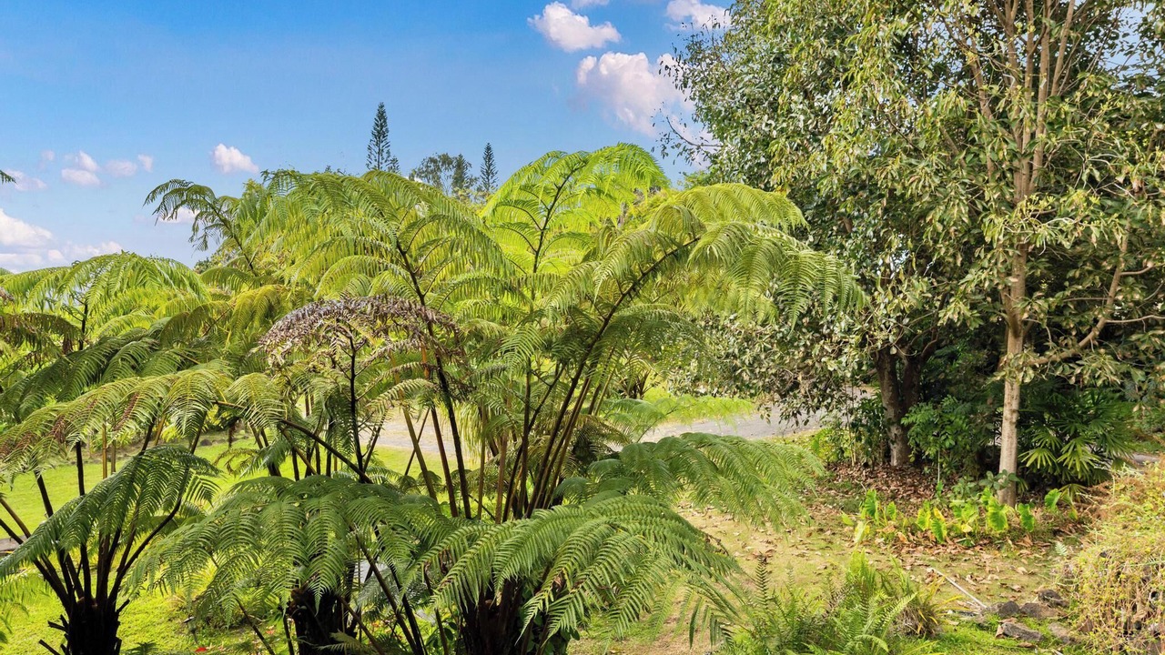 Photo of Outdoor in Holualoa