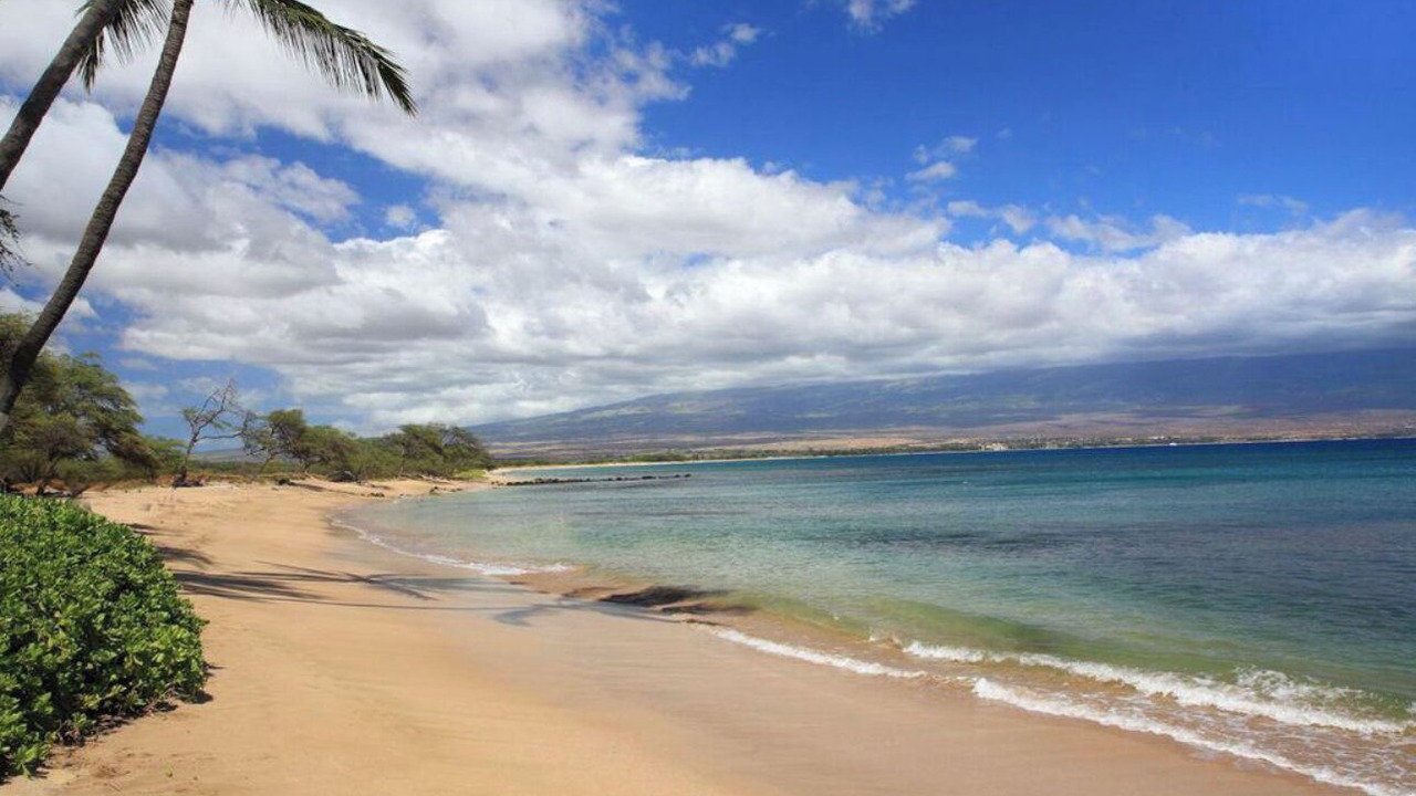 Photo of Others in Maalaea