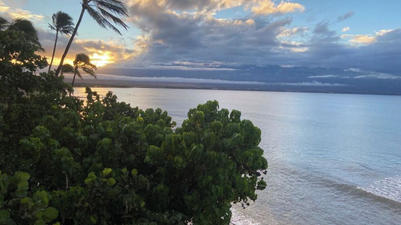 Photo of Others in Maalaea