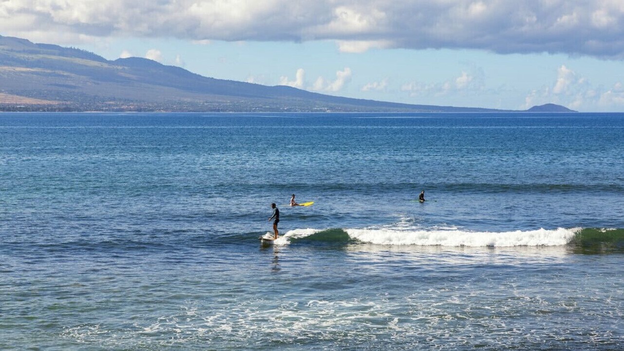 Photo of Others in Maalaea