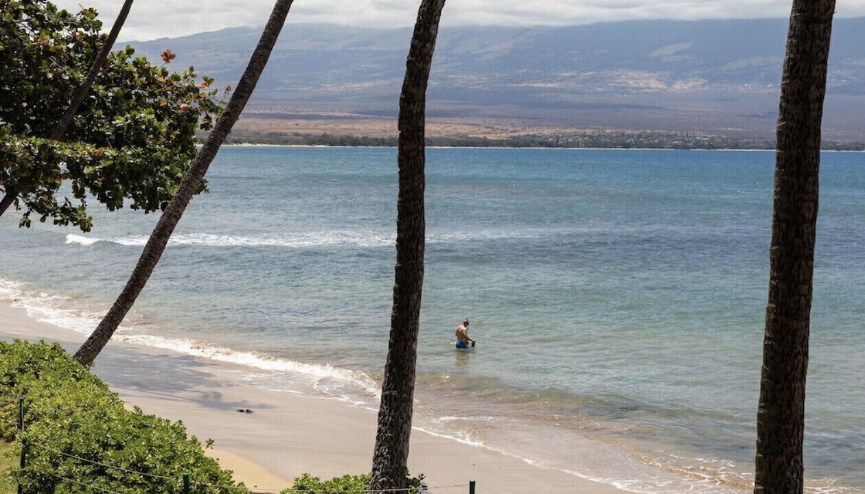 Photo of Others in Maalaea