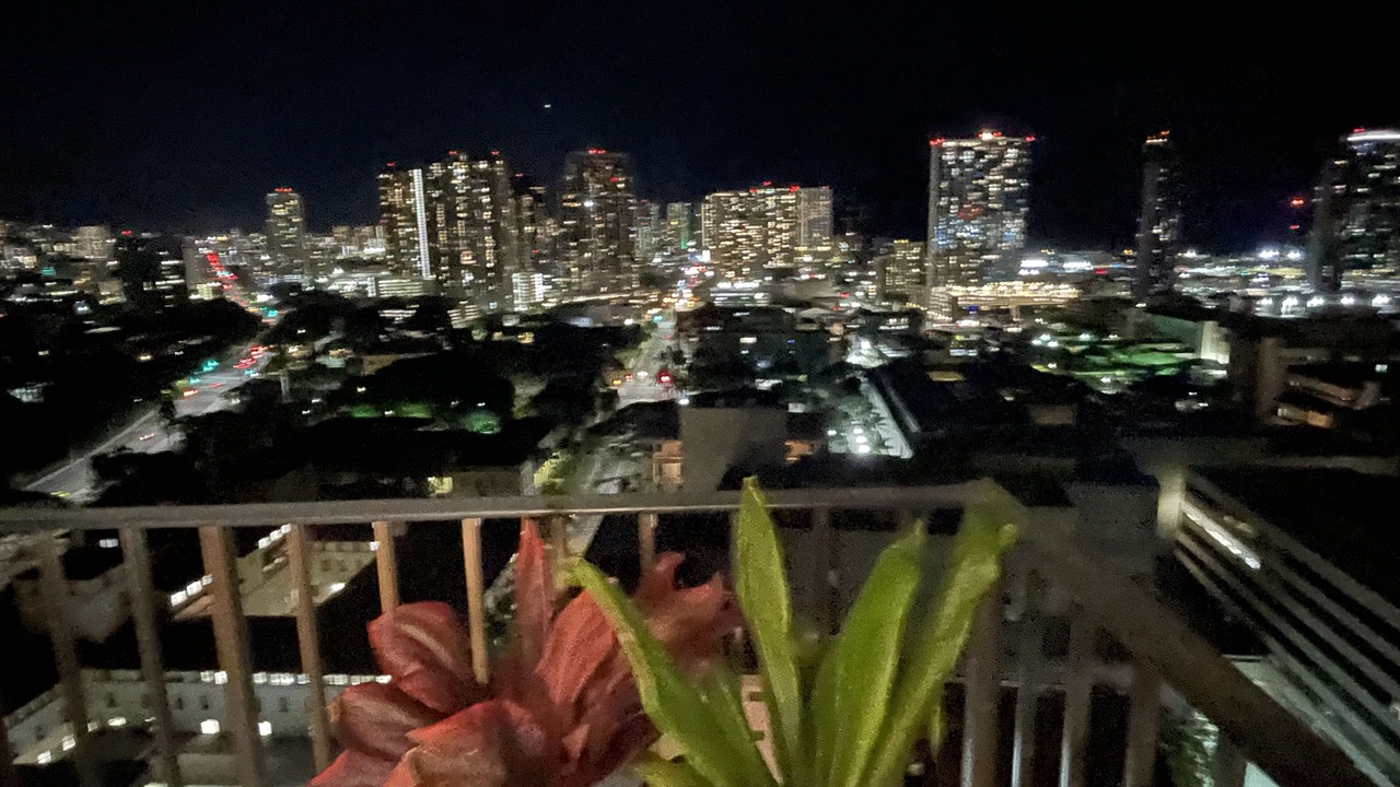 Photo of Outdoor in Downtown Honolulu