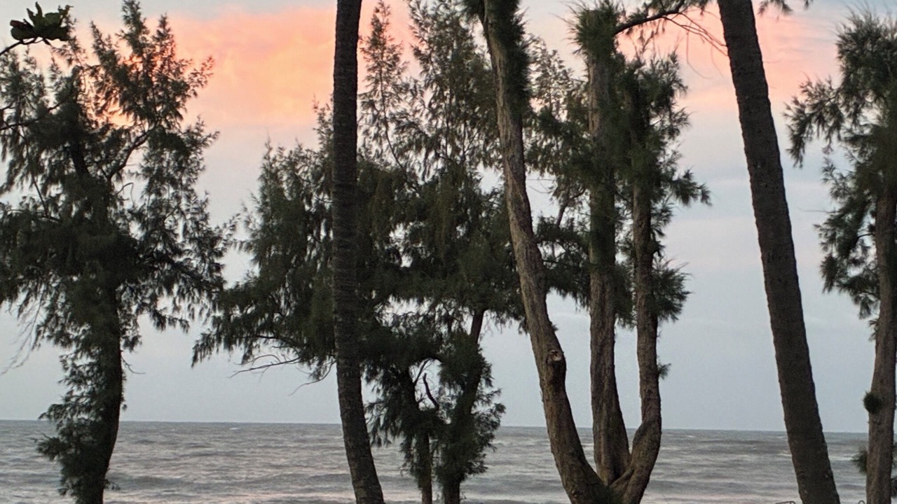 Photo of Others in Anahola