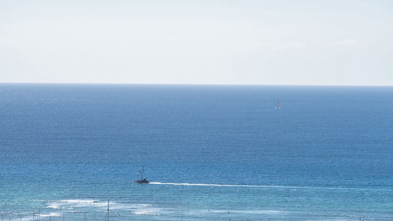 Photo of Others in Ala Moana