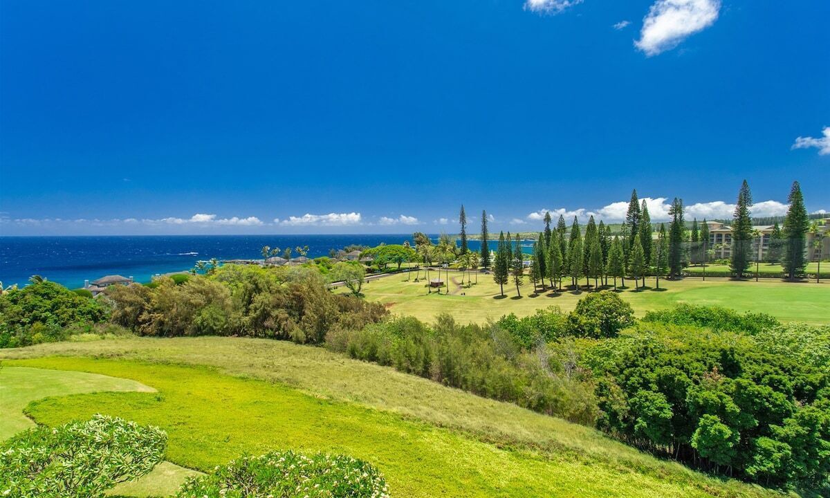 Photo of Others in Kapalua