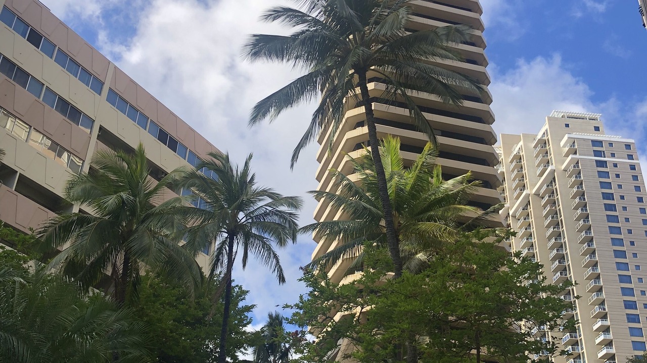 Photo of Outdoor in Waikiki
