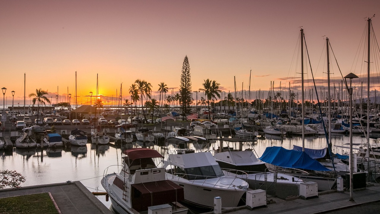 Photo of Others in Waikiki