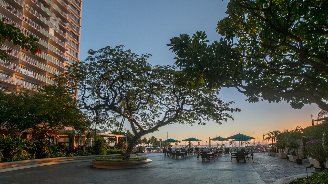 Photo of Outdoor in Waikiki
