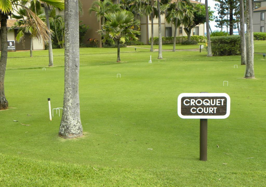 Photo of Outdoor in Kapaa
