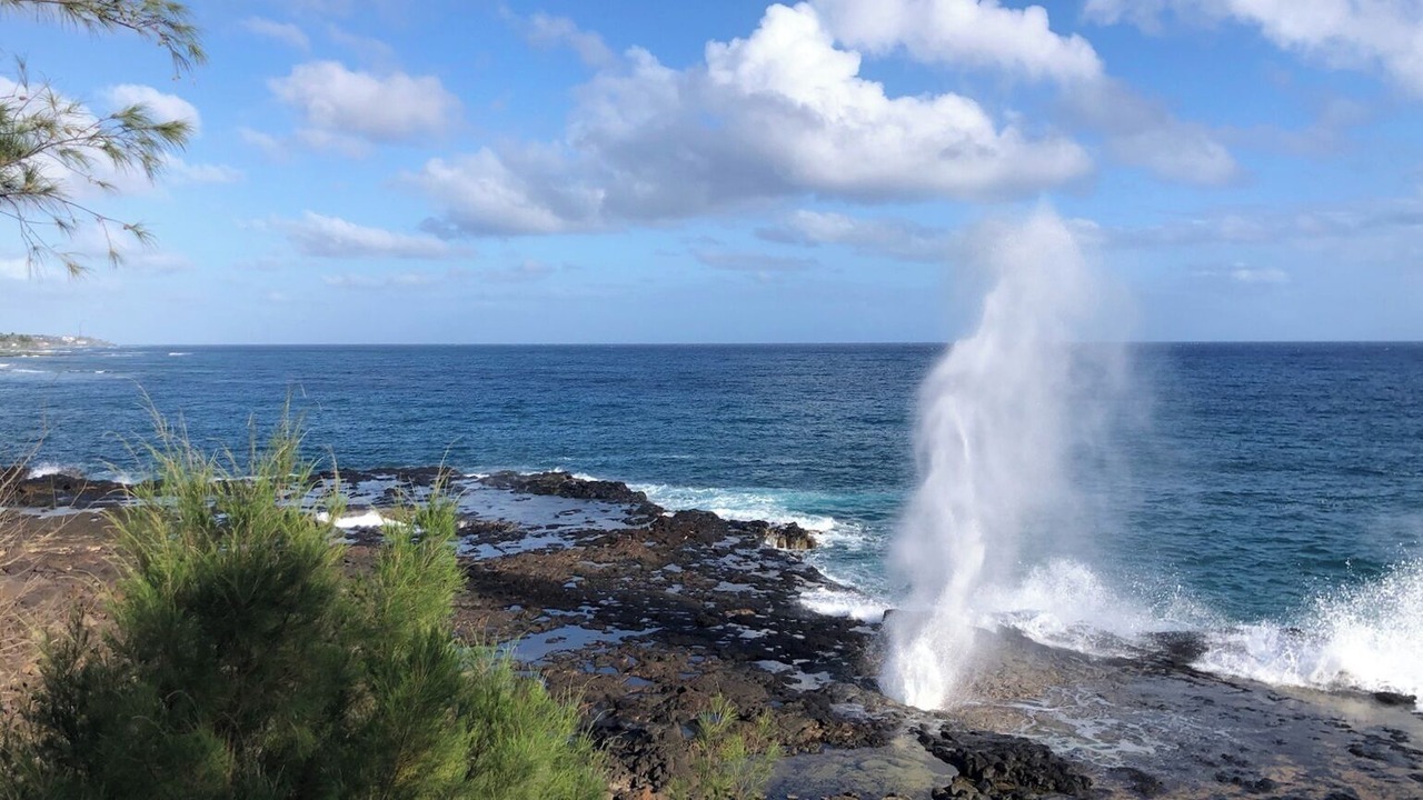 Photo of Others in Poipu