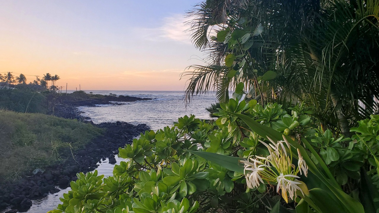 Photo of Others in Poipu