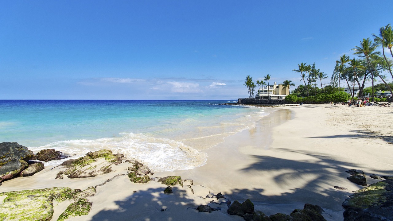 Photo of Others in Kahaluu Bay