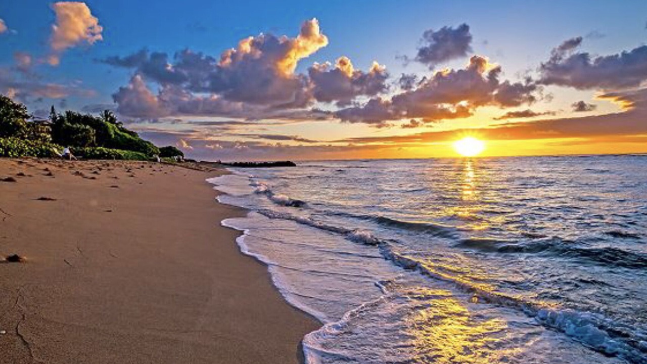 Photo of Others in Wailua