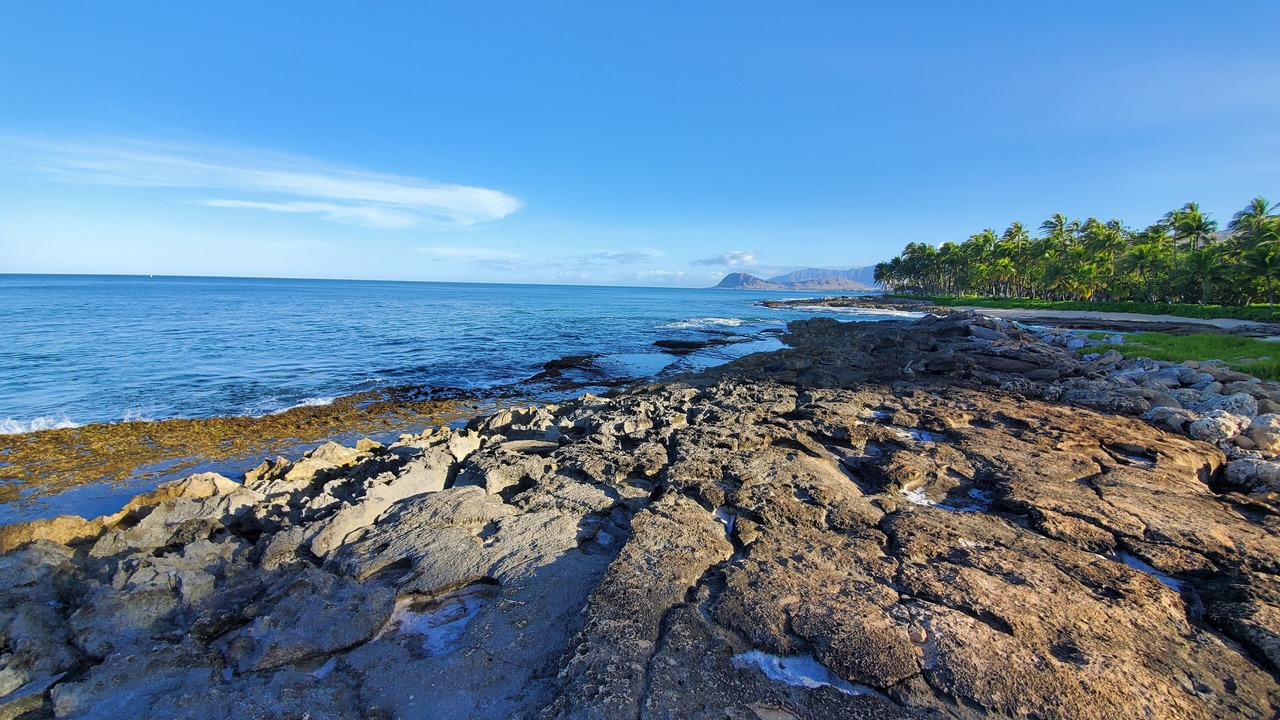 Photo of Others in Ko Olina