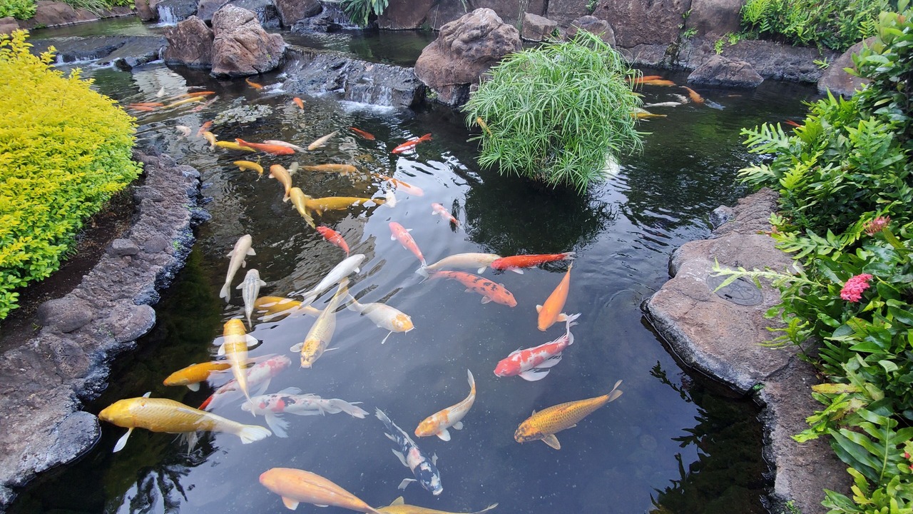 Photo of Others in Ko Olina