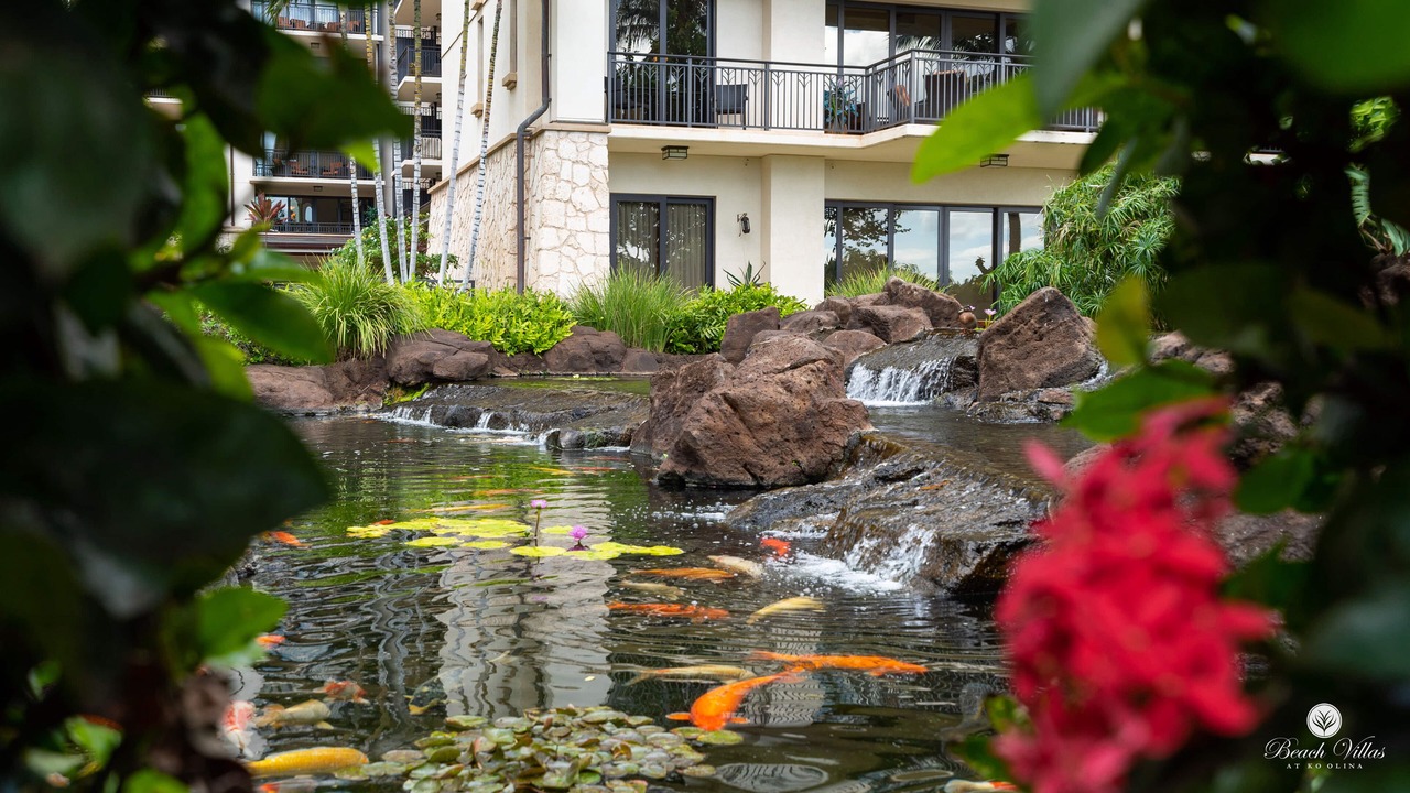 Photo of Others in Ko Olina