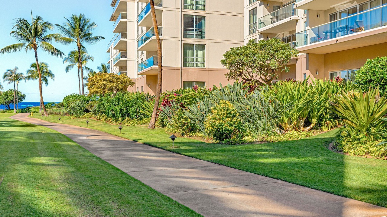 Photo of Others in Kaanapali
