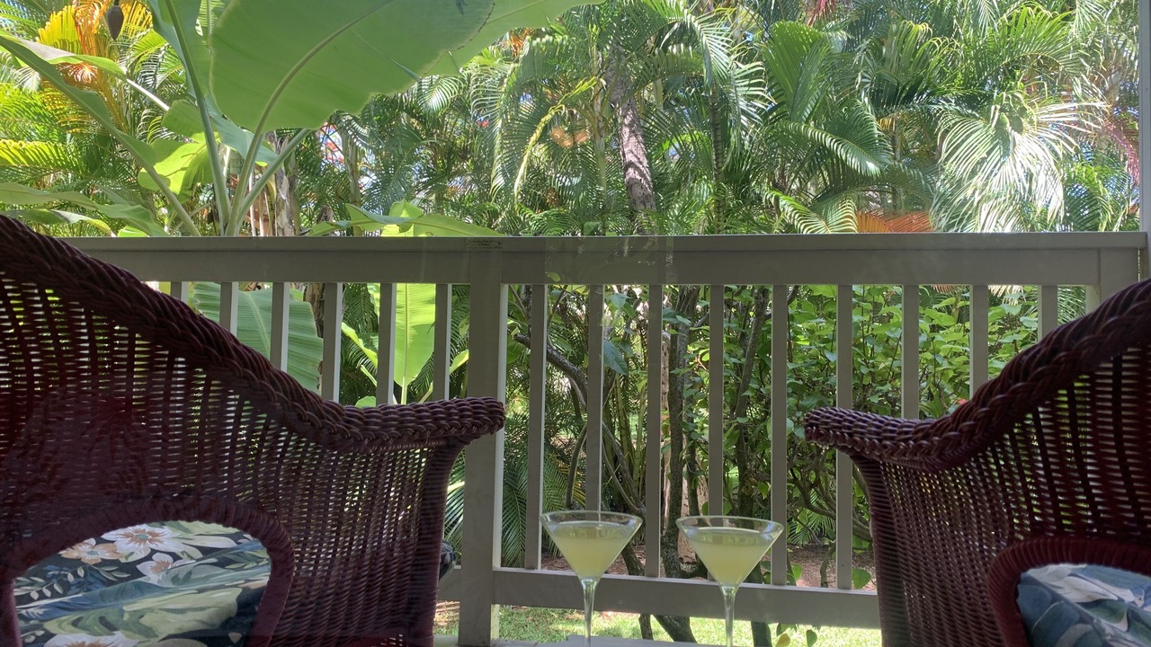 Photo of Outdoor in Poipu