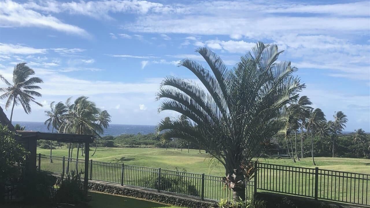 Photo of Outdoor in Punaluu