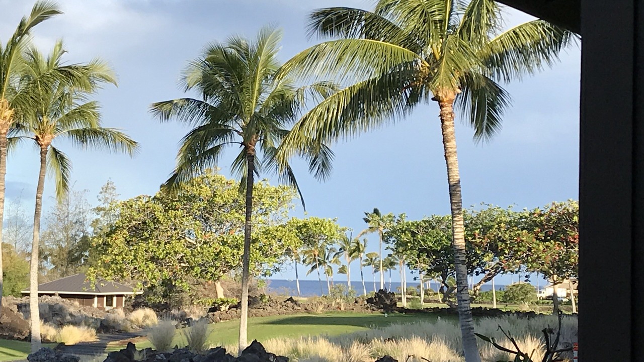 Photo of Others in Waikoloa