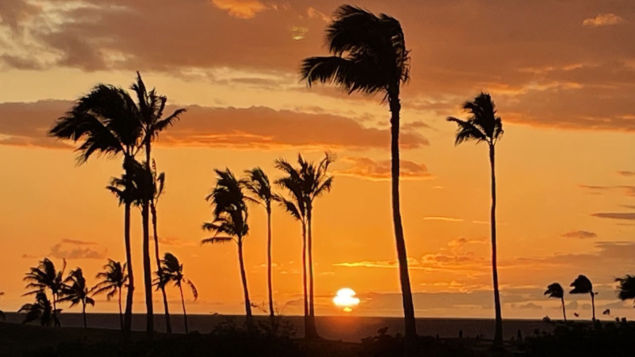 Photo of Others in Waikoloa