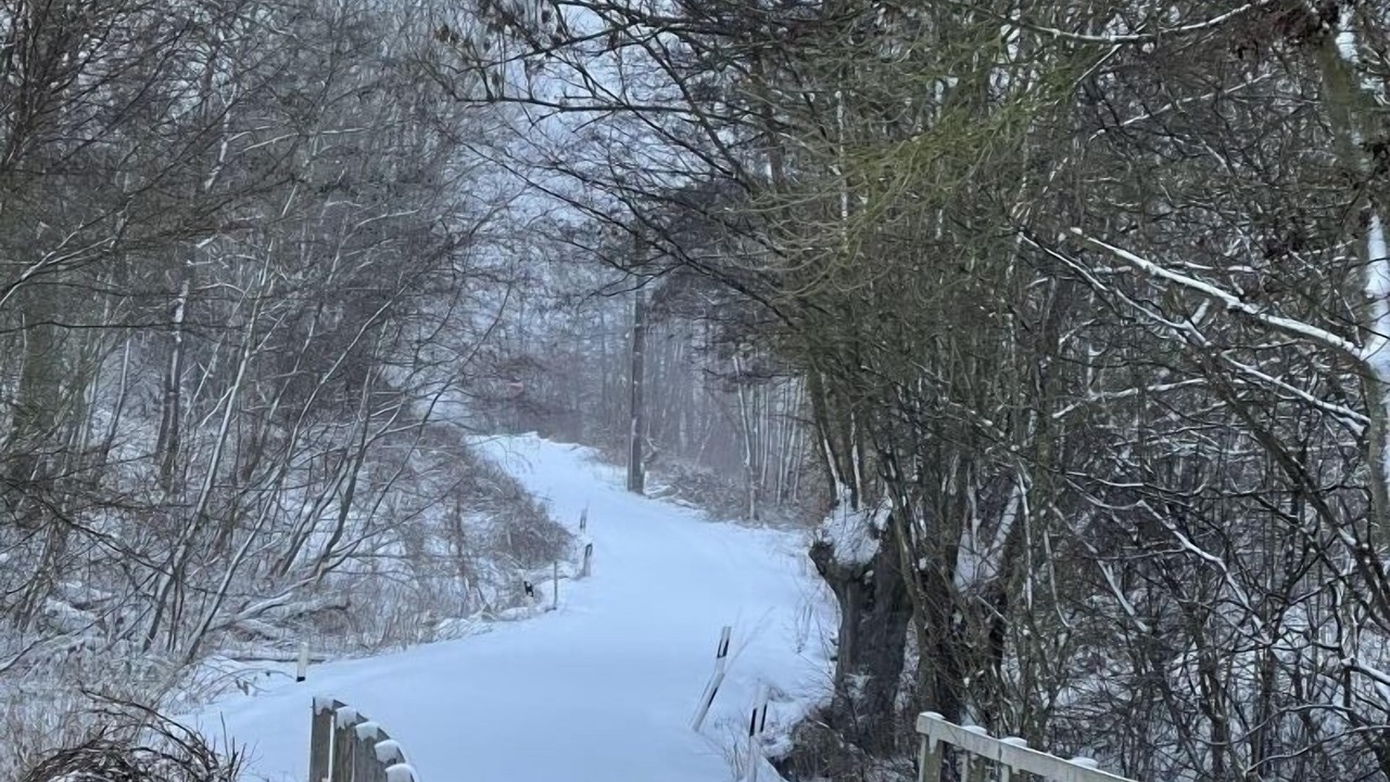 Photo of Outdoor in Reppenhagen