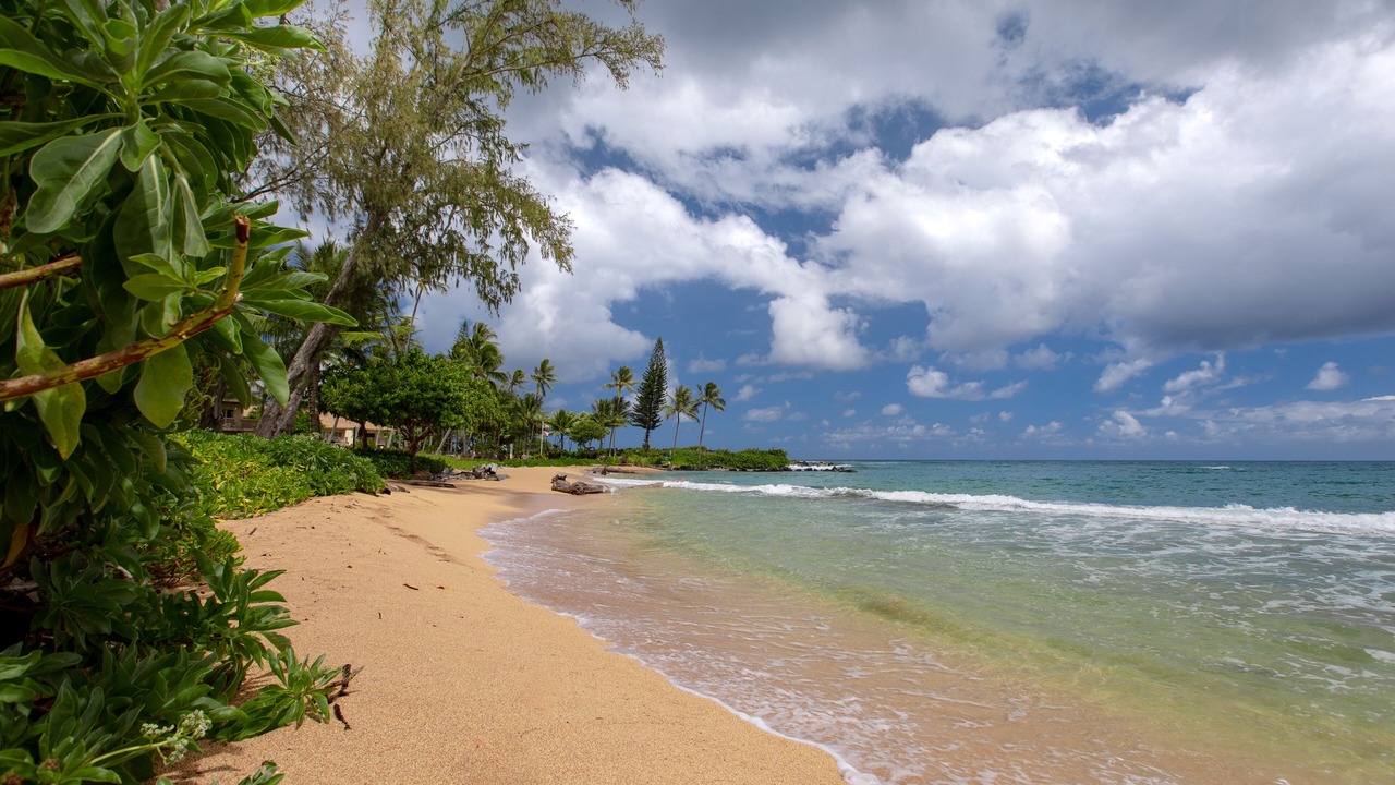 Photo of Others in Wailua
