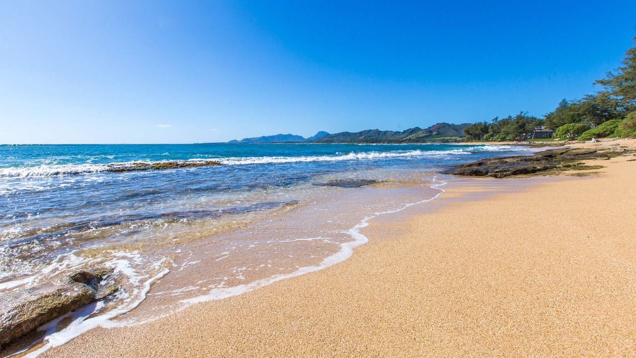 Photo of Others in Wailua